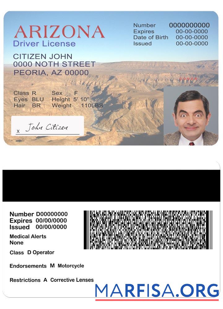 Printable USA Arizona driving license version 2 real example
